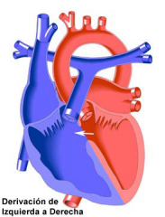 paso de sangre de circulacion sistemica a la pulmonar