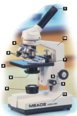 Label the parts of the microscope.