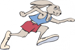 Can rabbit run fast?
