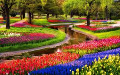 Wat is de naam van het bloemenpark ten noordwesten van Lisse in Zuid-Holland?

