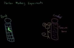 What are the basics of the Harlow monkey experiment?


 