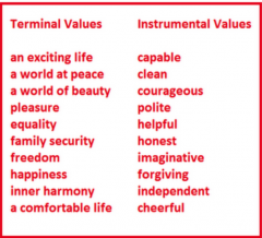 values on how life goals can be achieved