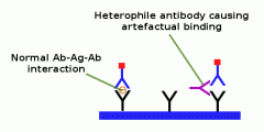 Heterophile antibodies