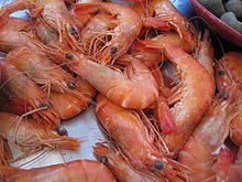 (n pl) shrimp