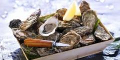 (n pl) oysters