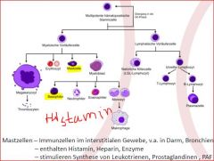 Auch Thrombocyten