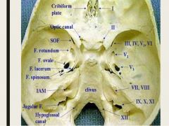 1. Olfactory Nerve: cribiform plate of the ethmoid bone.

2. Optic Nerve: Optic canal of the sphenoid.

3. Oculomotor Nerve: Superior orbital fissure

4. Trochlear Nerve: Superior orbital fissure

image 93