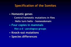 Hox genes! (of HELIX-TURN-HELIX family)

HOMEOTIC TRANFORMATIONs
