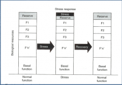 Animal has a reserve of energy to deal with stress


 


Stress will decrease that reserve


 


Recovers to having a full reserve