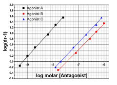 What is the pA2 value of the antagonist at the receptor agonist
A acts on?
