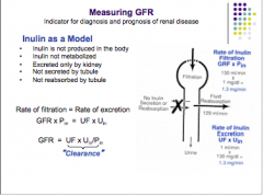 Rate of filtration = rate of excretion

GFR x Pin = UF x Uin
 GFR = UF x Uin/Pin = clearance
