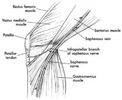 saphenous n arises as a division of the fem N,  leaves the add canal b/t the tendons of the gracilis and semiT. It then divides into the main saphenous branch and the infrapatellar branch which crosses the knee below the patella, it can be injured...