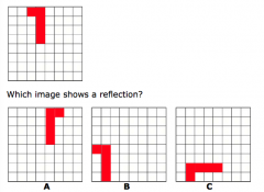 Which image shows a reflection?