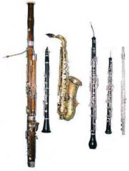 2. Woodwind Instruments