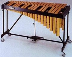 4. Percussion Instruments that PRODUCE tones