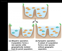 Allopatric speciation
Sympatric speciation

-In a sympatric speciation, various factors can limit gene flow:
-Polyploidy
-Habitat differentiation
-Sexual selection
