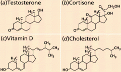 -Four fused carbon rings


-Different structure and function from other lipids


-Cholesterol, sex hormones (Estrogen, Testosterone) 