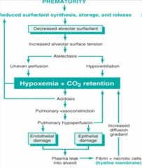 - Prematurity leads to reduced surfactant synthesis, storage, and release
- Causes increased alveolar surface tension
- Leads to atelectasis: uneven perfusion and hypoventilation
- Causes hypoxemia and CO2 retention
- Leads to acidosis, pulmon...