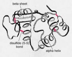 what protein structure?