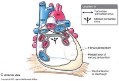 1. around the aorta & pulmonary trunk
2. around the pulmonary veins & superior & inferior vena cava