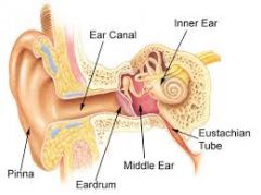 the part of the middle ear that connects the middle ear to the nasopharynx; stabilizes air pressure between the external atmosphere & the middle ear