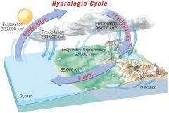 The unending circulation of Earth's water supply. The cycle is powered by energy from the sun and is characterized by continuous exchanges of water among the oceans, the atmosphere, and the continents.