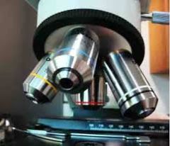 identify this part of the microscope