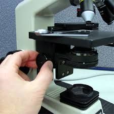 what part of the microscope is this?