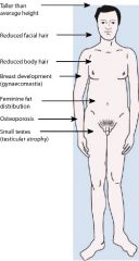Usually present as male with:

Low IQ
Behavioral problems
Slim with long limbs
Gynecomastia


NB: XXY