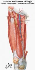adductor canal