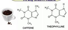 Theophylline



Caffeine