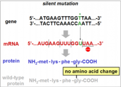 Consider a base substitution in which the CGbase pair in wild-type has been replaced with aTA base pair.If we look at the resulting polypeptide sequence,no change results in the amino acid sequence.Therefore, this mutation will have no effect onth...