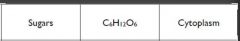 A compound of carbon, hydrogen, and oxygen that make CH2O.


