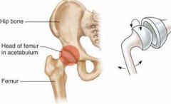 -glenohumeral joint (shoulder)
-acetabulofemoral joint (hip)