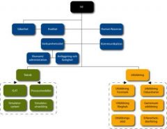 Ett organisationsschema är en schematisk bild av ansvarsnivåer och arbetsuppgifter i en organisation.