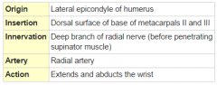 Posterior arm, superficial layer