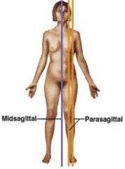 Parasagittal