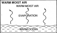 Define warm moist air