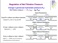 Reduced Pg --> decreased GFR

High Pg --> increased GFR (may be normalized by increased glomerular osmotic pressure)