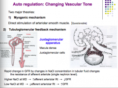 1. Myogenic: Direct stimulation of arteriolar smooth muscle (think stretch and opening of Ca2+ channels which leads to increased muscle contraction)

2. Tubuloglomerular feedback mechanism: Macula densa senses changes in NaCl and secretes metabo...