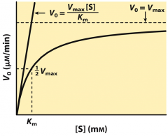 - Initial rate = Initial velocity = V0: Depends on the concentration of substrate [S]; At relatively low concentrations of substrate, V0 increases almost linearly with and increase in [S]. At higher [S] V0 increases by smaller and smaller amounts ...