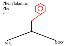 Alanin + phenyl-group