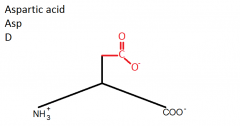 Apspartic acid (D) come before Glutamic acid (E), therefore there is ONE C before the double bonded C