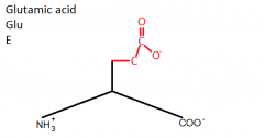Glutamic acid (E) comes after Aspartic acid (D) therefore there are TWO C's before the double bonded C