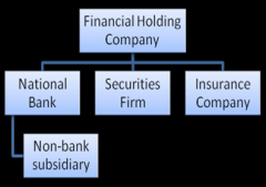 Bank holding company