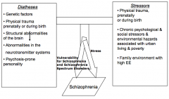 Diathesis-Stress Model of Schizophrenia