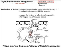GP2b/3a antagonists