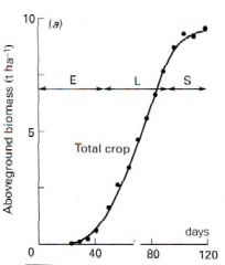 Crop Growth Rate (CGR): Δ Biomasse (B) / Δ Zeit (t)

Lag-Phase (Keimling):
CGR abh. von assimilierender Blattfläche

E - Exponentielle Phase (Aufwuchs):
Photosyntheseleistung steigt mit
expandierender Blattfläche,
Positiver Feedback Lo...