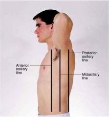 anterior axillary, posterior axillary, midaxillary