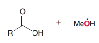 In the following Fischer  esterification explain wehere the 18O would be in the product?